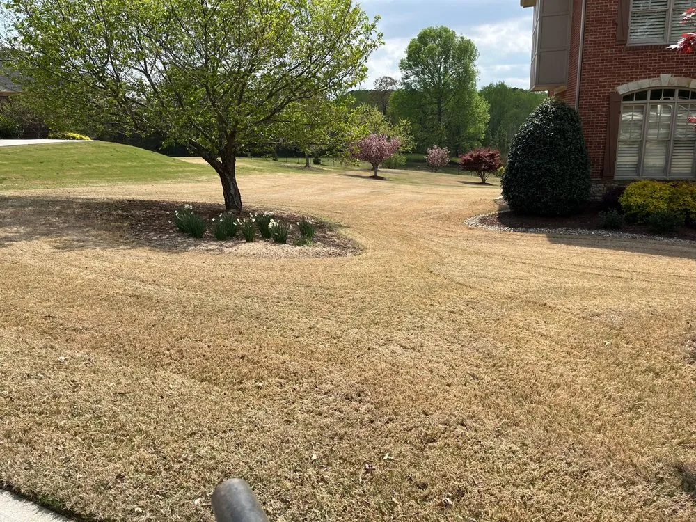 Professional residential landscaping for year-round maintenance in Flowery Branch, GA by Midgard Landscaping