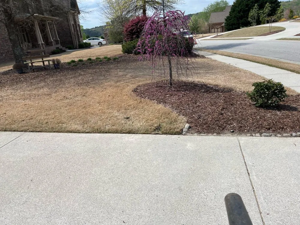 Reliable residential landscaping in Flowery Branch, GA - Midgard Landscaping