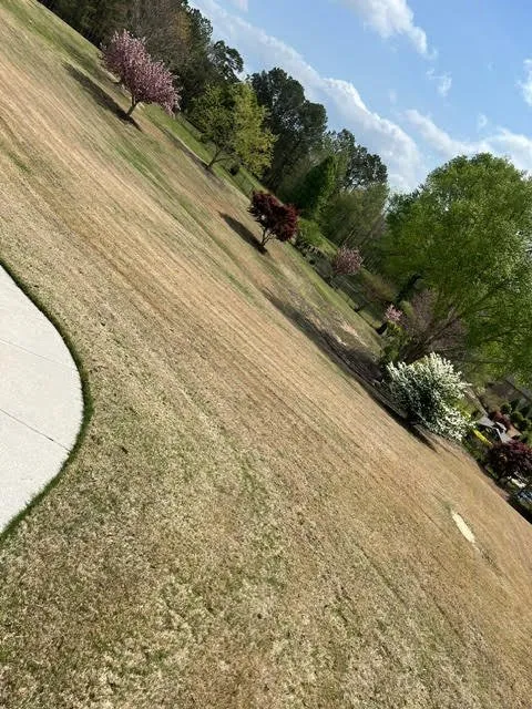 Top-rated lawn mowing service experts serving Flowery Branch, GA - Midgard Landscaping