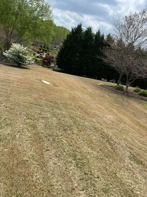 Local yard cleanup service experts serving Flowery Branch, GA - Midgard Landscaping