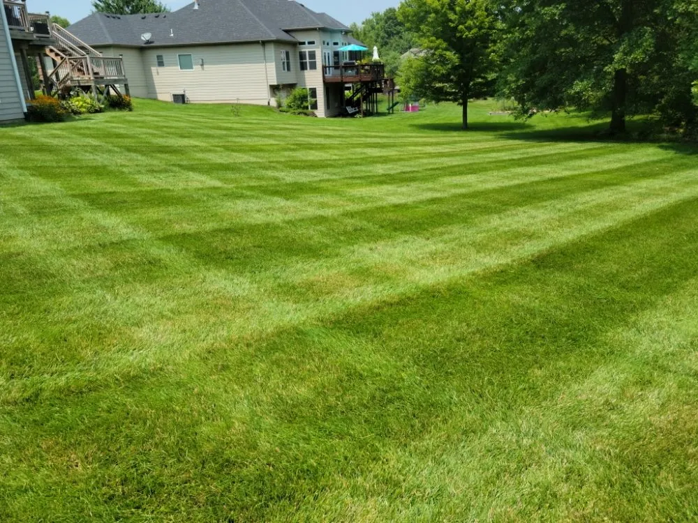 Professional outdoor landscaping in Columbia, MO by Midgard Mowing