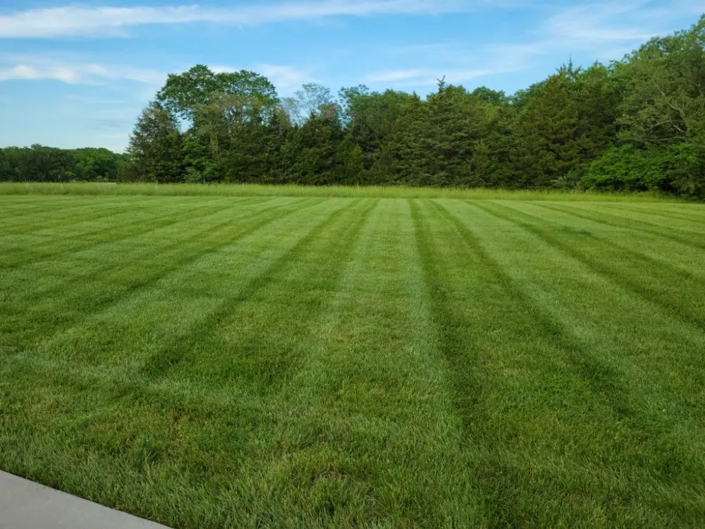 Top-rated outdoor landscaping experts serving Columbia, MO - Midgard Mowing