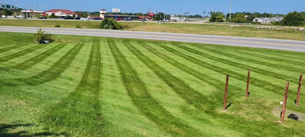Trusted landscaping services near you in Columbia, MO by Midgard Mowing