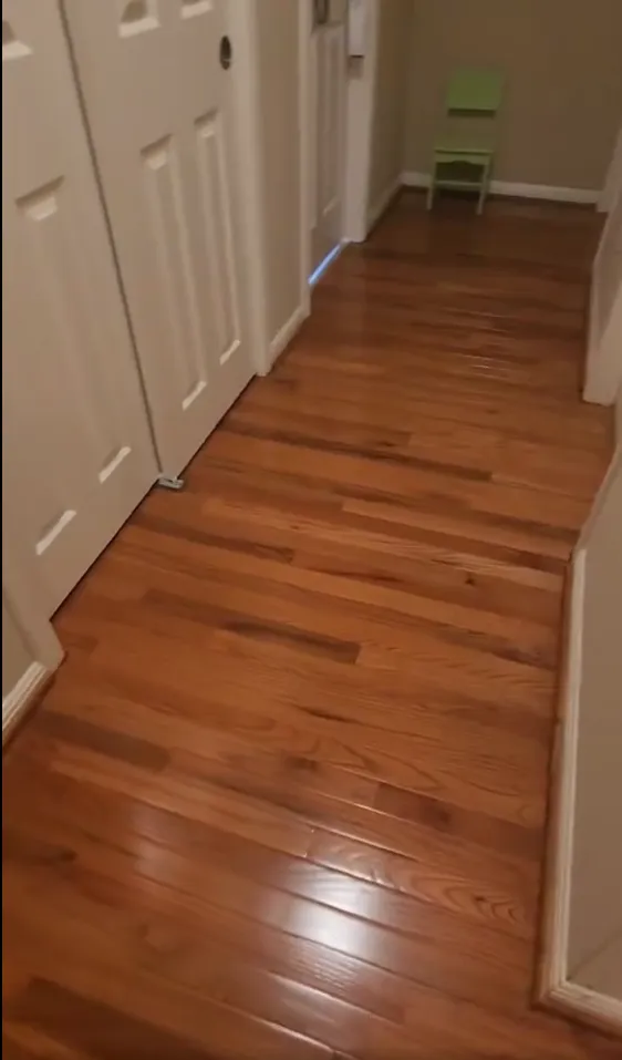 Expert yard cleanup service in Rosanky, TX by Midgard Property Services