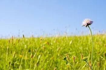 Reliable outdoor landscaping experts serving Midland, TX - Midland TX Lawns