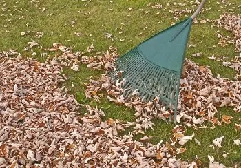 Trusted lawn care service in Midland, TX by Midland TX Lawns