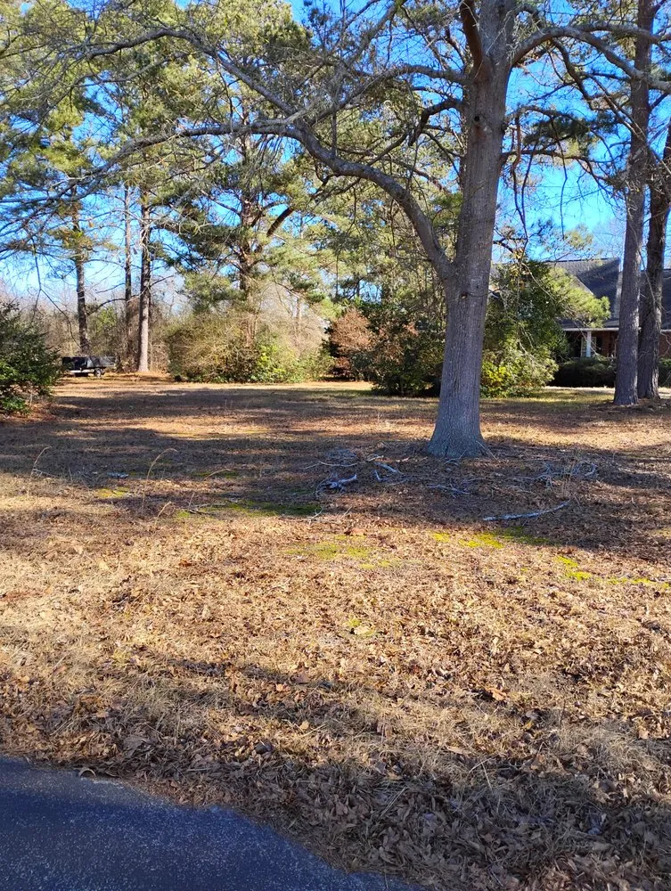 Expert yard cleanup service for beautiful yards in Columbia, SC by Midlands Extreme Lawn Care