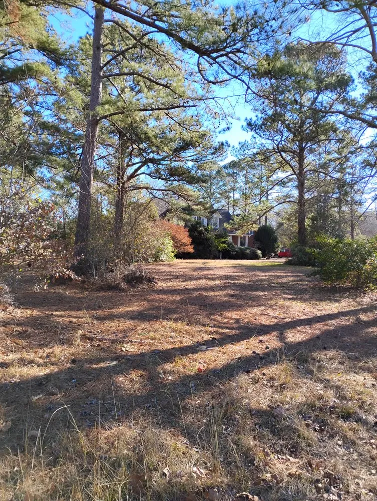 Local landscaping services experts serving Columbia, SC - Midlands Extreme Lawn Care