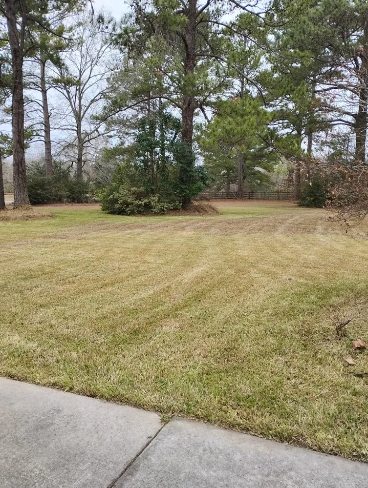 Affordable outdoor landscaping in Columbia, SC - Midlands Extreme Lawn Care