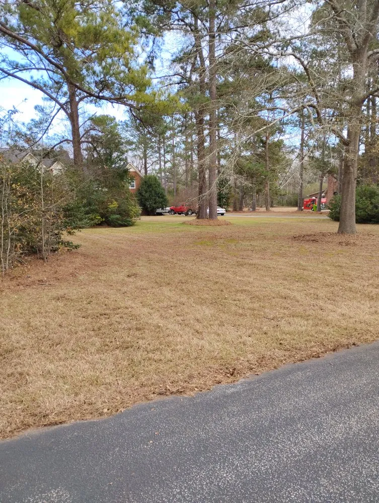 Top-rated landscape installation for beautiful yards across Columbia, SC - Midlands Extreme Lawn Care
