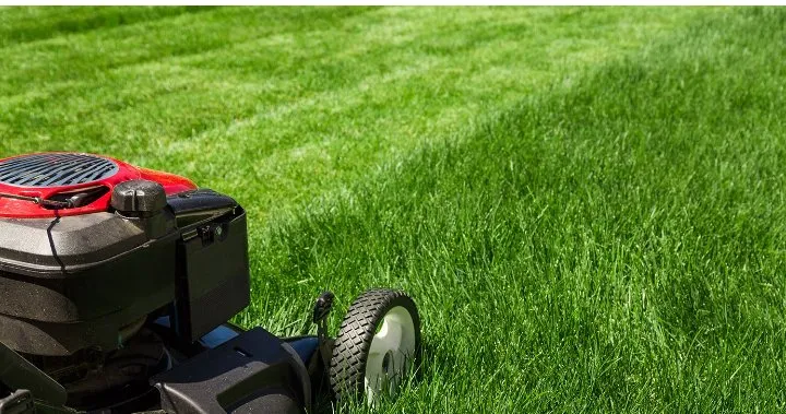 Local residential landscaping for residential properties in Columbia, SC by Midlands Extreme Lawn Care