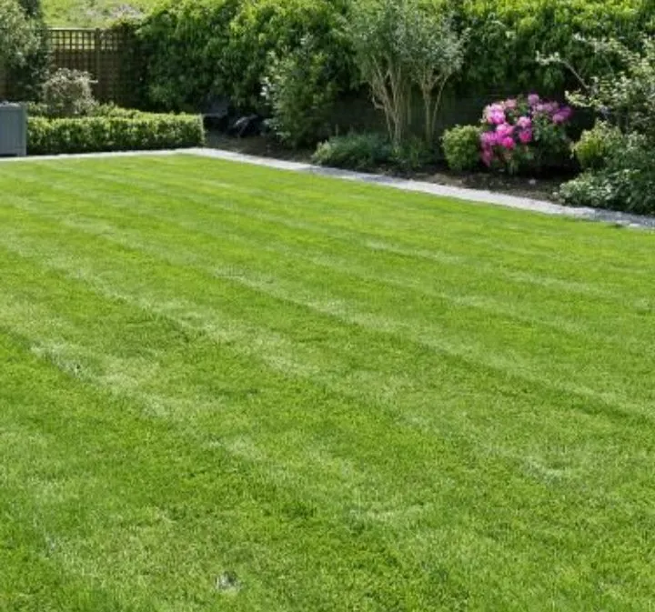Affordable landscape design in Columbia, SC - Midlands Extreme Lawn Care