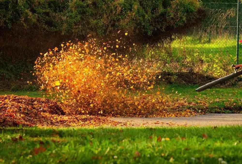 Professional lawn care service in West Columbia, SC by Midlands