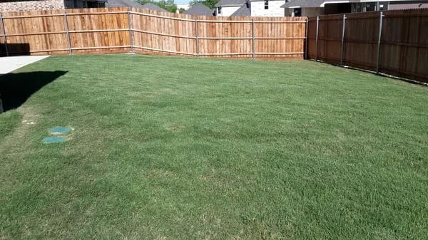 Midlothian Lawn Care Logo