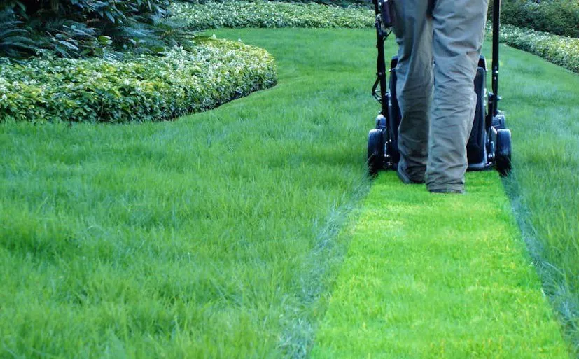 Local residential landscaping in Plainfield, IL by Midnight Landscaping