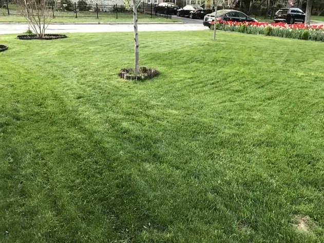 Custom landscaping services experts serving Plainfield, IL - Midnight Landscaping