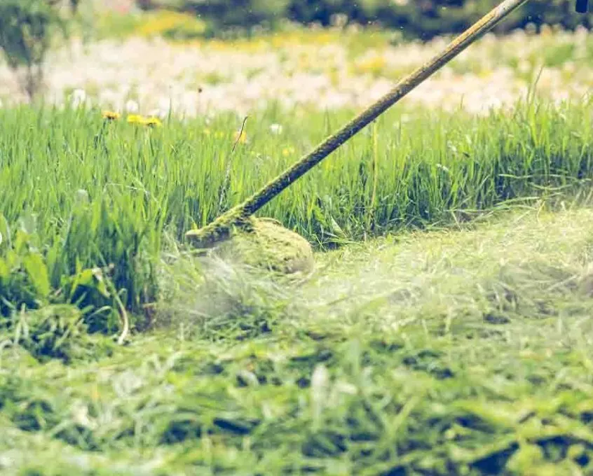 Professional landscape design in Plainfield, IL - Midnight Landscaping