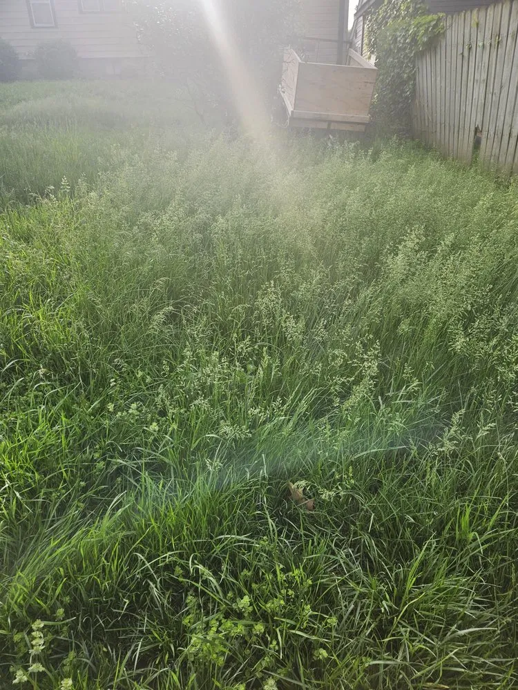 Reliable landscaping services for residential properties in Omaha, NE by Midnight Lawn & Landscapes