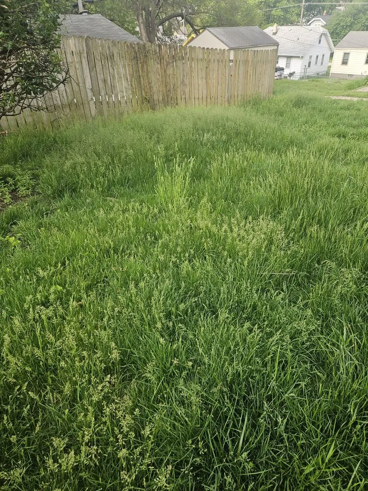 Local residential landscaping in Omaha, NE - Midnight Lawn & Landscapes