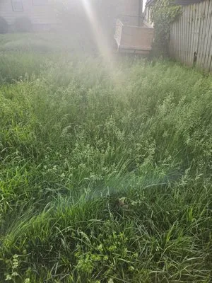 Midnight Lawn & Landscapes Logo