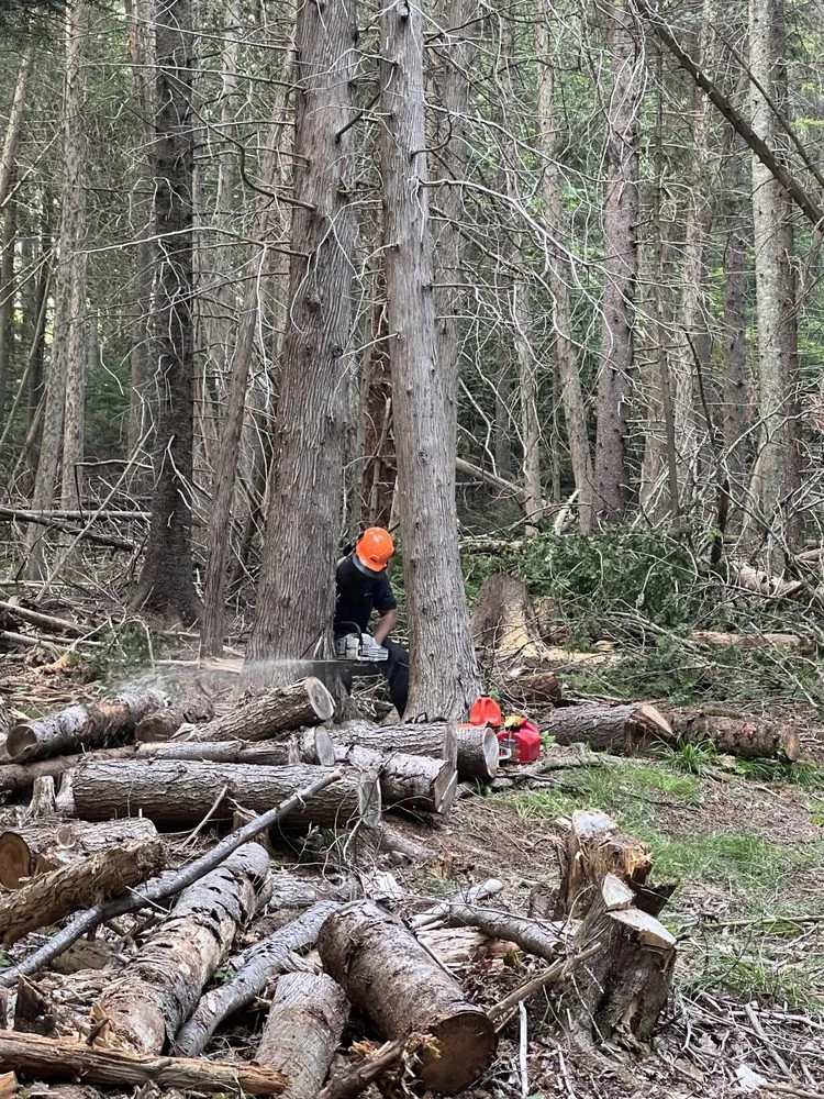 Local landscape design experts serving Holden, ME - Midnight Solutions