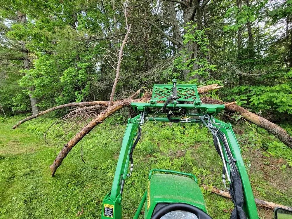 Local yard cleanup service experts serving Holden, ME - Midnight Solutions