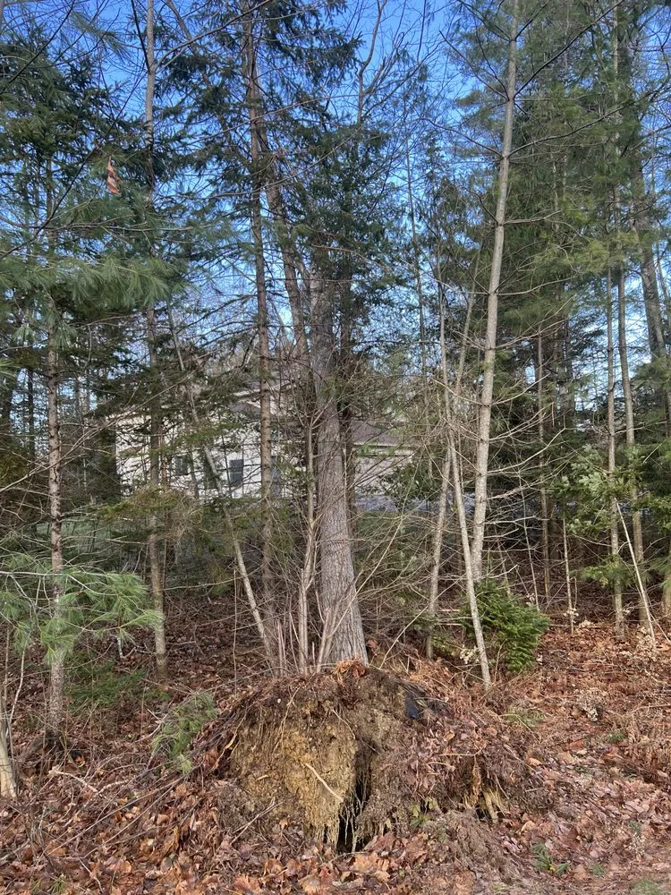 Expert residential landscaping for beautiful yards across Holden, ME - Midnight Solutions