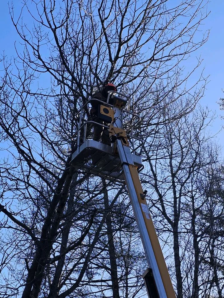 Affordable outdoor landscaping for year-round maintenance in Holden, ME by Midnight Solutions