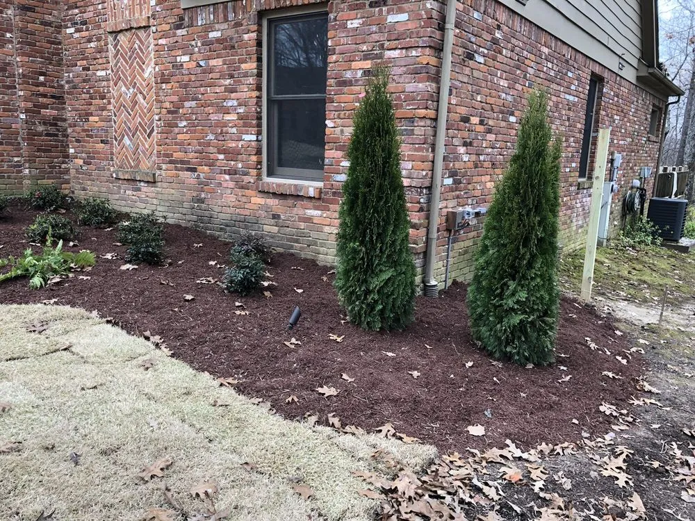 Reliable yard maintenance in Southaven, MS by Midsouth LanDesign Group