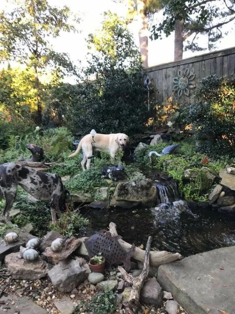 Trusted landscape design for outdoor upgrades across Memphis, TN - MidSouth Ponds