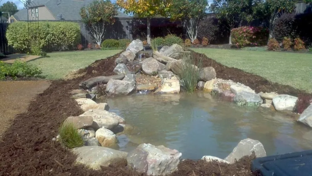 Reliable yard cleanup service experts serving Memphis, TN - MidSouth Ponds