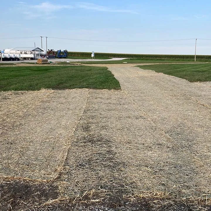 Professional yard maintenance for beautiful yards across Bloomington, IL - Midstate Land Solutions