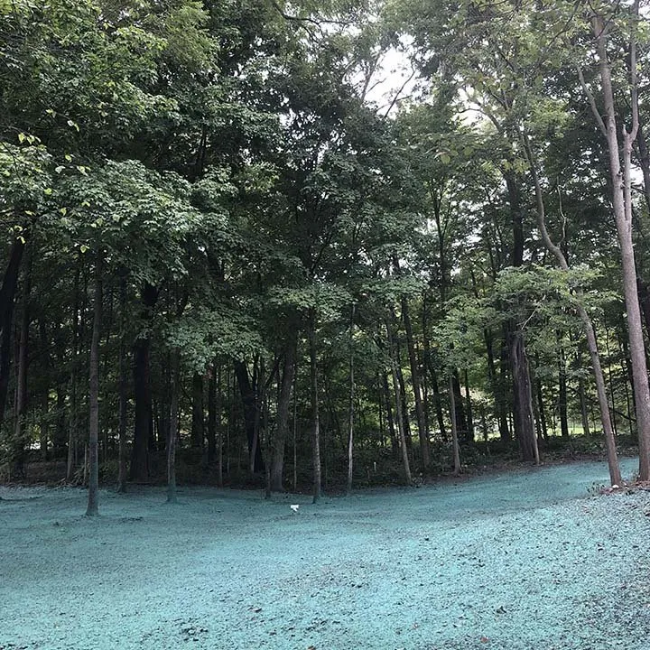 Top-rated garden landscaping in Bloomington, IL - Midstate Land Solutions