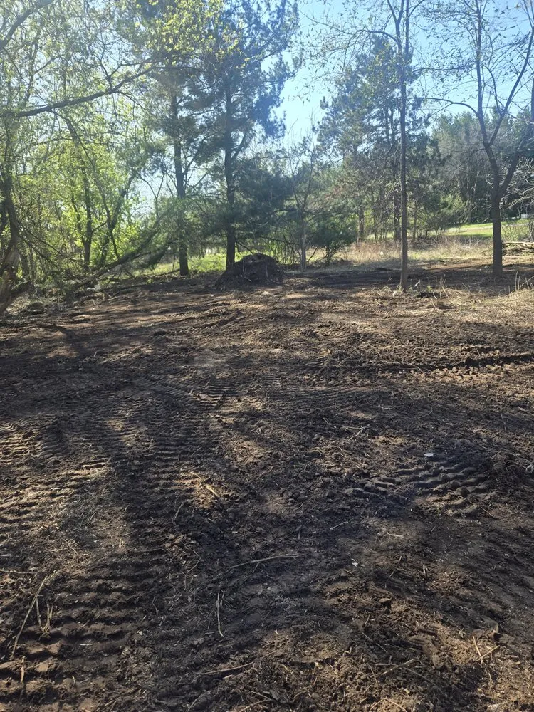 Top-rated yard cleanup service experts serving Willard, WI - Midstate Services