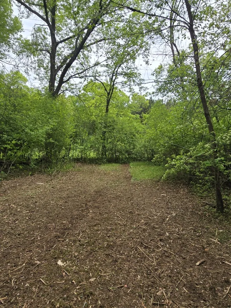 Trusted landscape design experts serving Willard, WI - Midstate Services