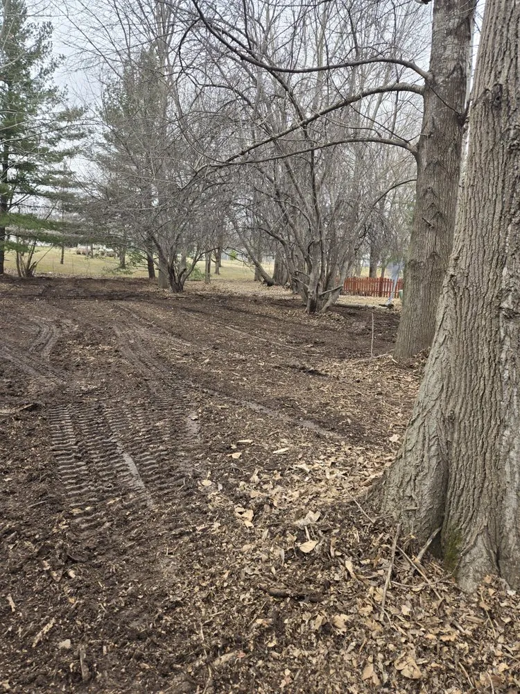 Trusted landscaping services in Willard, WI by Midstate Services