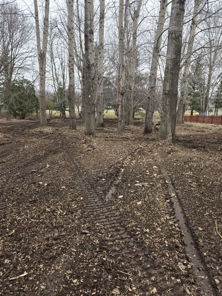 Top-rated yard cleanup service for outdoor upgrades across Willard, WI - Midstate Services