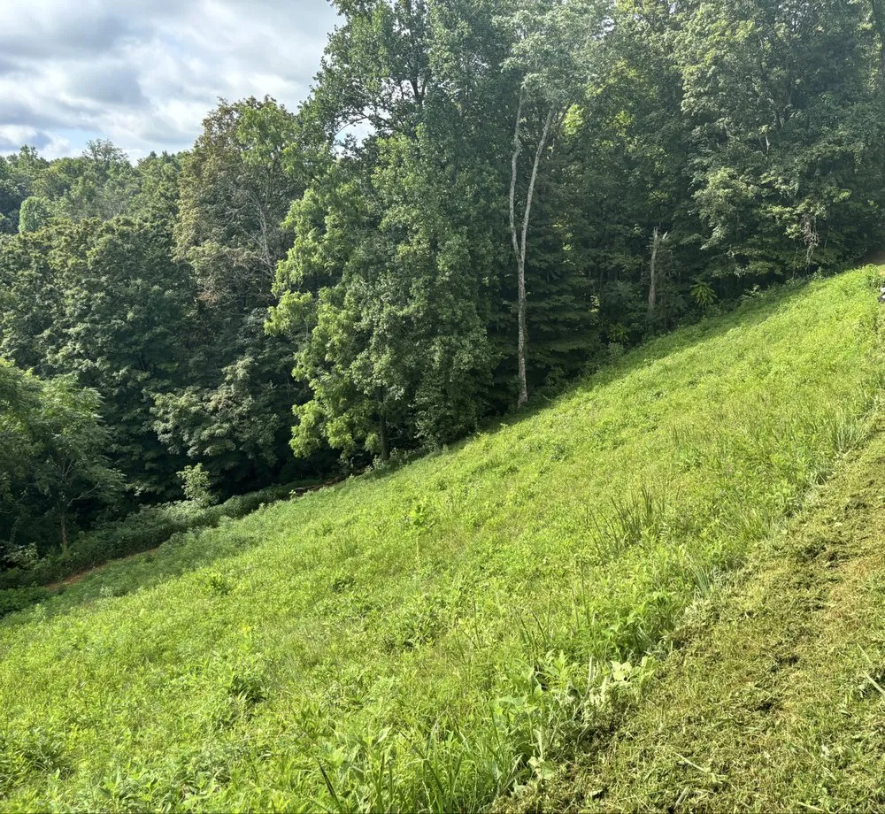 Professional landscape design for homes in Buffalo Valley, TN by MidTen Land & Brush Cutting