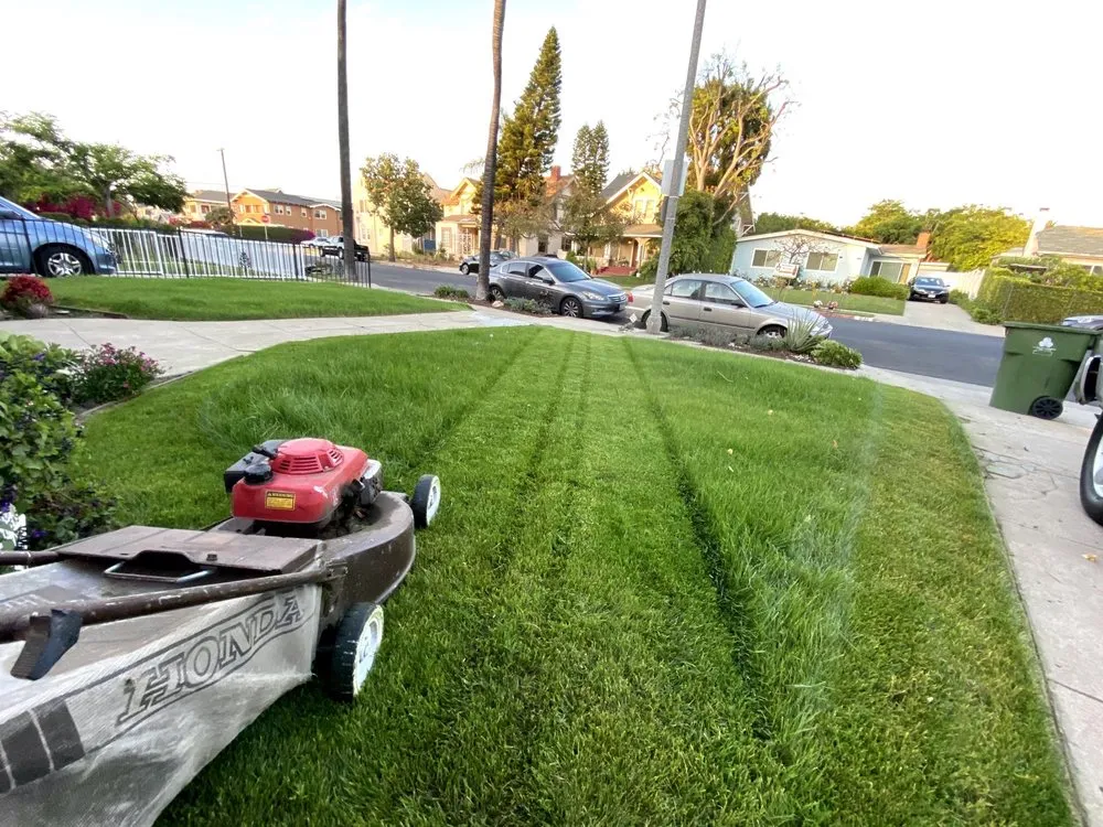 Custom landscape design for year-round maintenance in Los Angeles, CA by Midtown Landscape