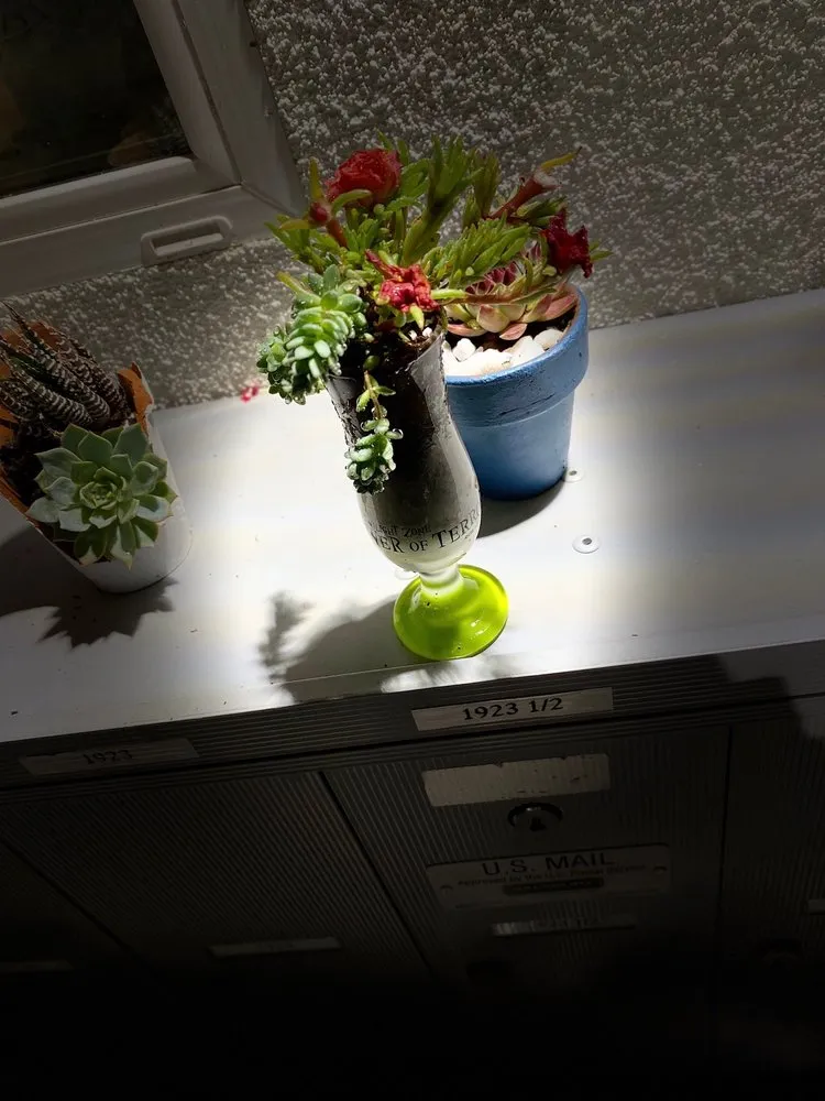 Local landscape design in Los Angeles, CA - Midtown Landscape