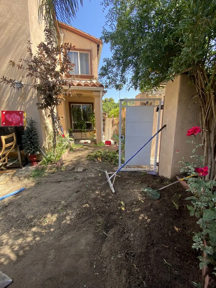 Affordable yard maintenance for year-round maintenance in Los Angeles, CA by Midtown Landscape