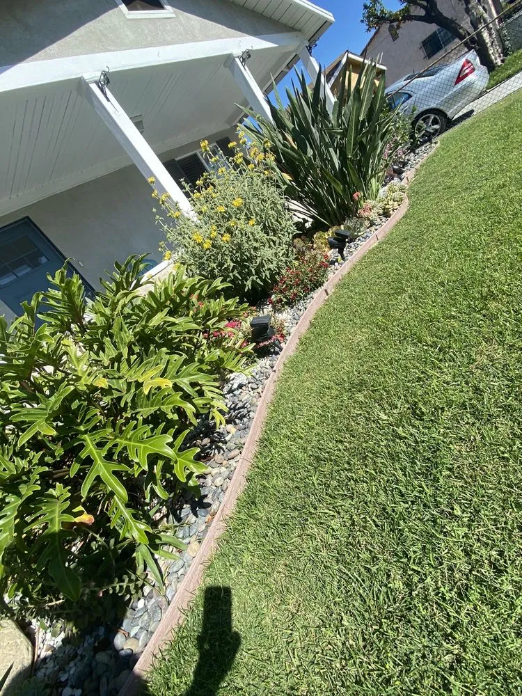 Professional outdoor landscaping in Los Angeles, CA by Midtown Landscape