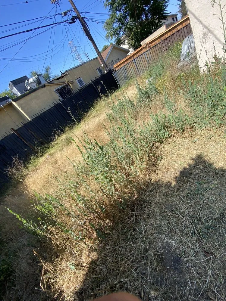 Local garden landscaping in Los Angeles, CA - Midtown Landscape