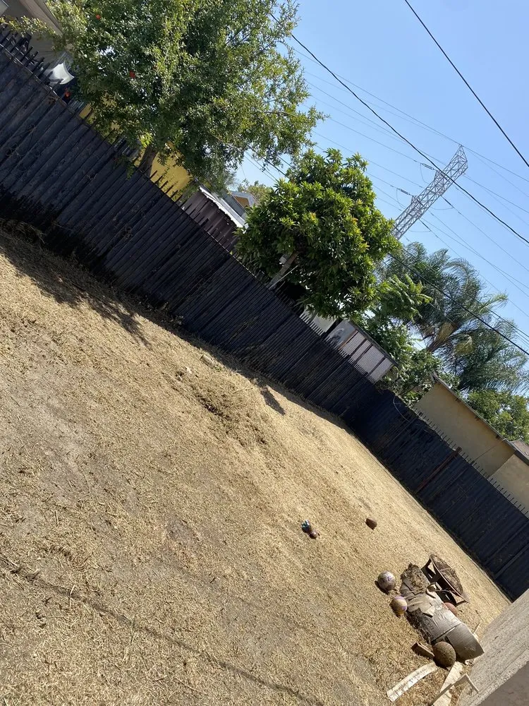 Expert lawn care service in Los Angeles, CA by Midtown Landscape