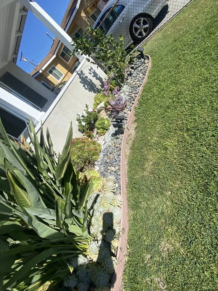 Expert yard cleanup service for outdoor upgrades in Los Angeles, CA by Midtown Landscape