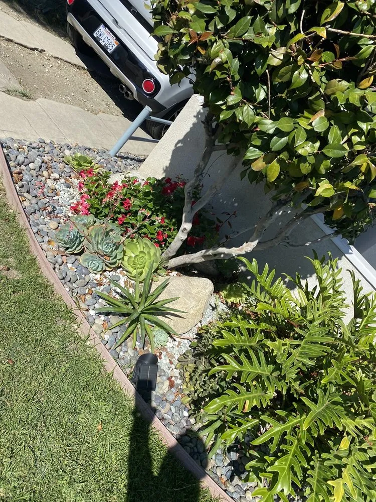 Trusted landscape design in Los Angeles, CA by Midtown Landscape