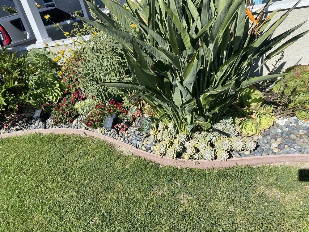 Professional outdoor landscaping in Los Angeles, CA - Midtown Landscape