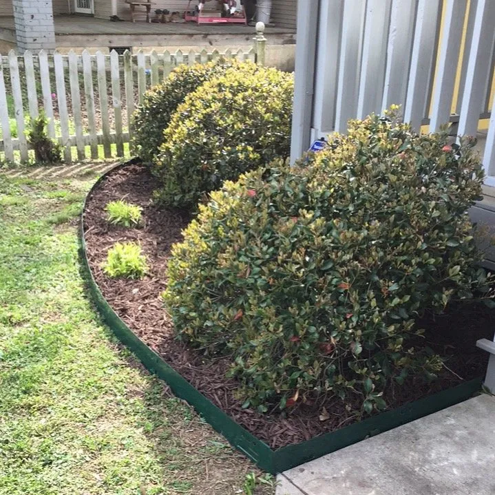 Professional lawn care service experts serving Chattanooga, TN - Midtown Lawn Care