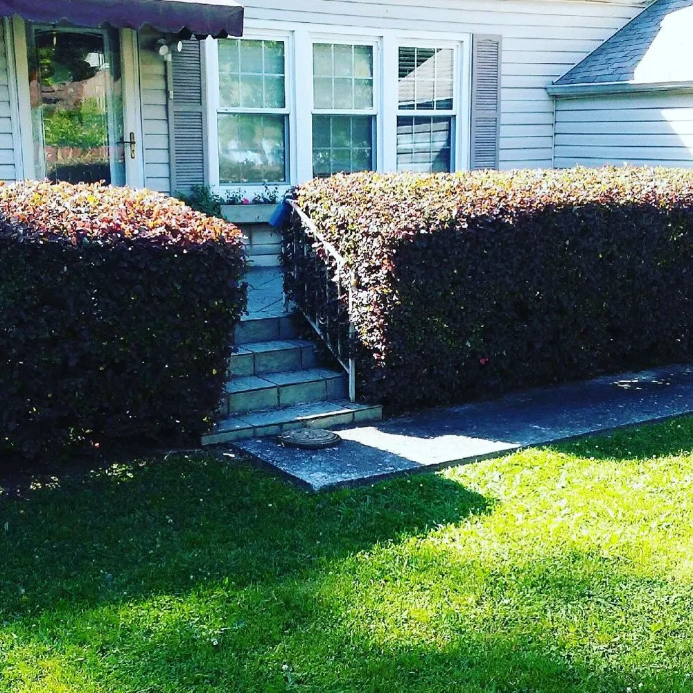 Custom lawn care service for residential properties in Chattanooga, TN by Midtown Lawn Care