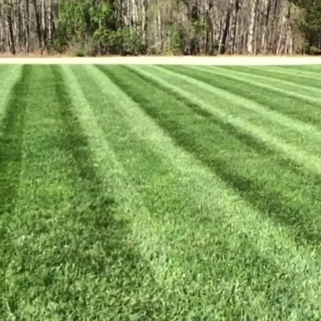 Professional landscape installation experts serving Chattanooga, TN - Midtown Lawn Care